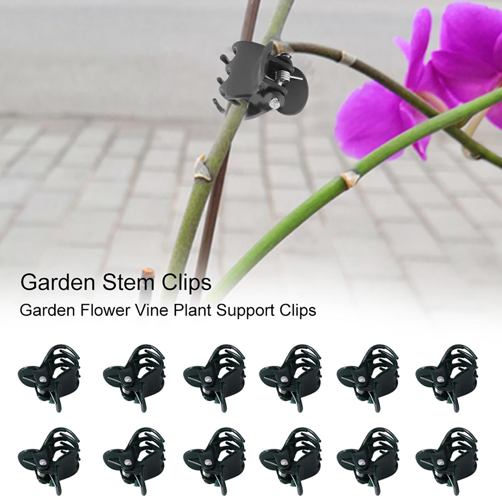 100 ชิ้น Mini Plant คลิปสวนดอก - Florist Supply Bulk บทวิจารณ์และราคา