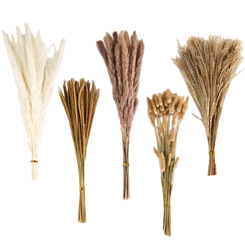 ช่อดอกไม้แห้งผสมสไตล์วินเทจฤดู - Florist Supply Vases บทวิจารณ์และราคา